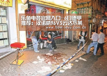 乐鱼电竞官网入口