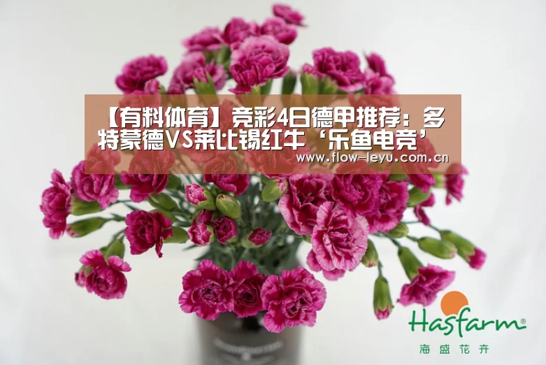 【有料体育】竞彩4日德甲推荐:多特蒙德VS莱比锡红牛‘乐鱼电竞’(图2) 乐鱼电竞app下载