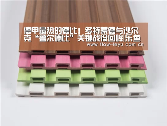德甲最热的德比!多特蒙德与沙尔克“鲁尔德比”关键战役回眸|乐鱼电竞app下载(图2) leyu平台