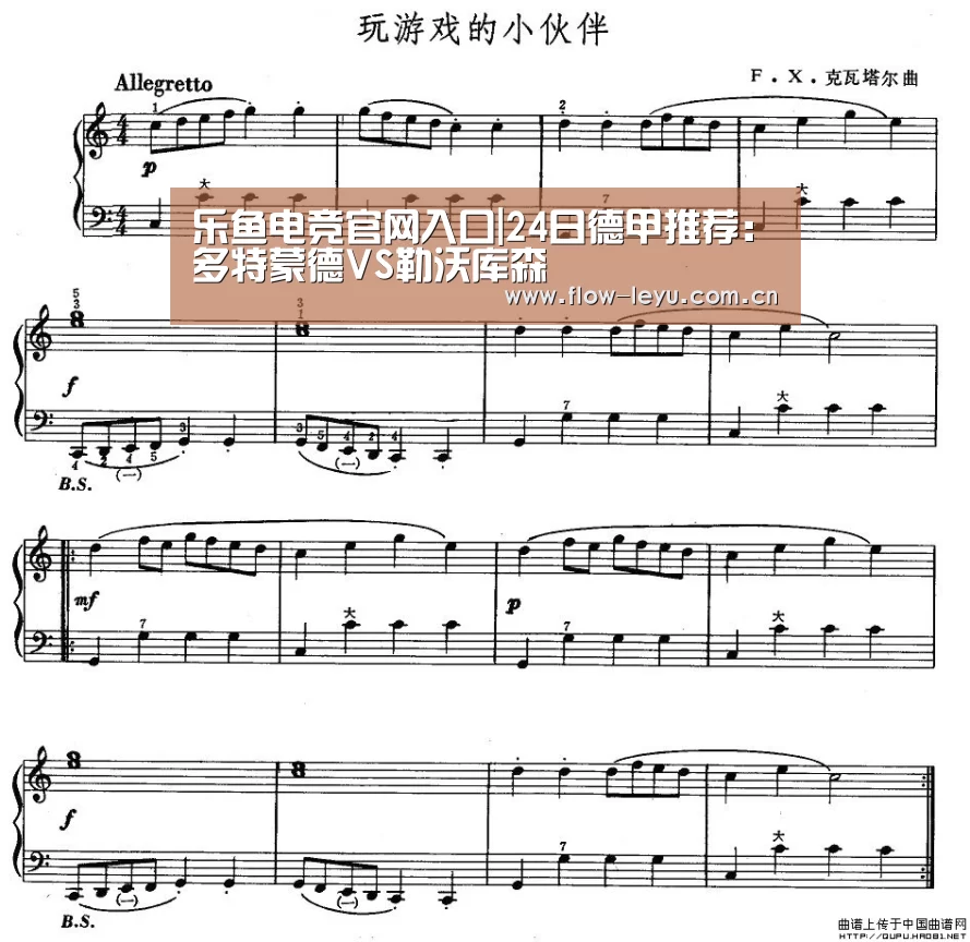 乐鱼电竞官网入口
