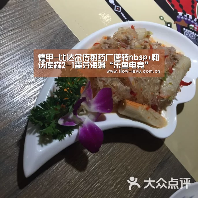 德甲-比达尔传射药厂逆转nbsp;勒沃库森2-1霍芬海姆“乐鱼电竞”(图2) 乐鱼电竞官网入口