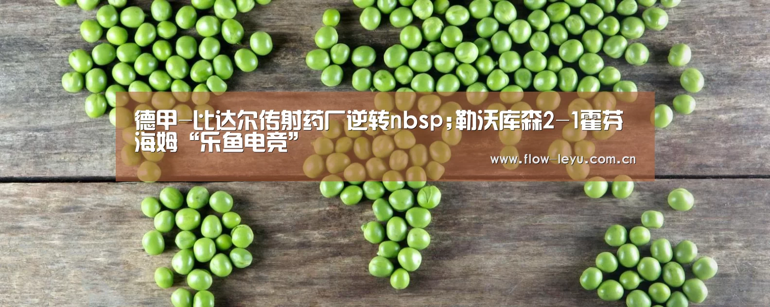 德甲-比达尔传射药厂逆转nbsp;勒沃库森2-1霍芬海姆“乐鱼电竞”(图3) leyu平台