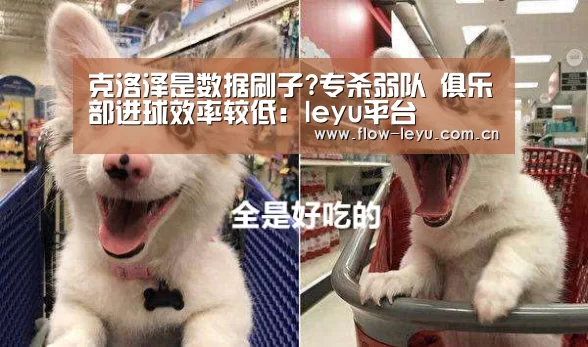 乐鱼电竞app下载