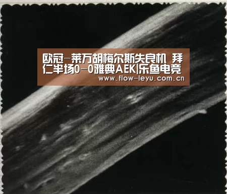 乐鱼电竞app下载